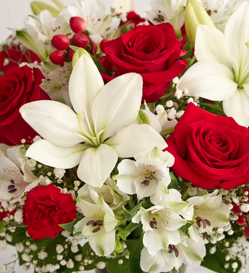 rose flower seeds Wood Rose (Merremia tuberosa) Flower Seeds for Planting  Heirloom, No   Pure Asia Seeds